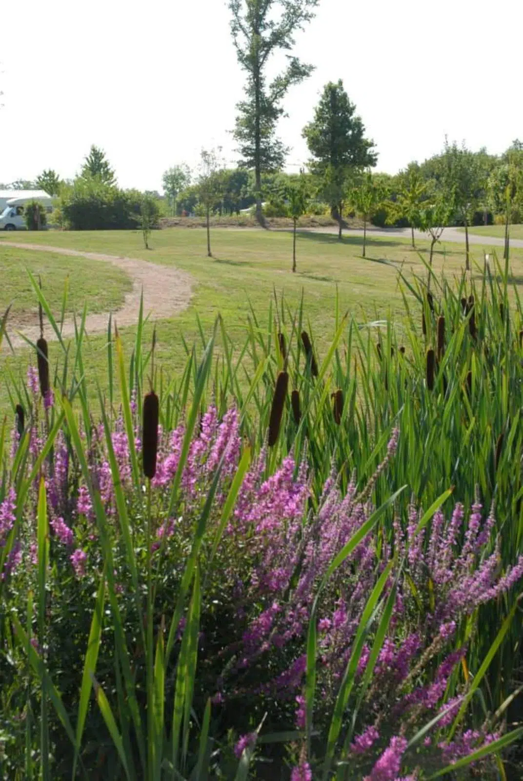 forfait rando camping flower des lacs