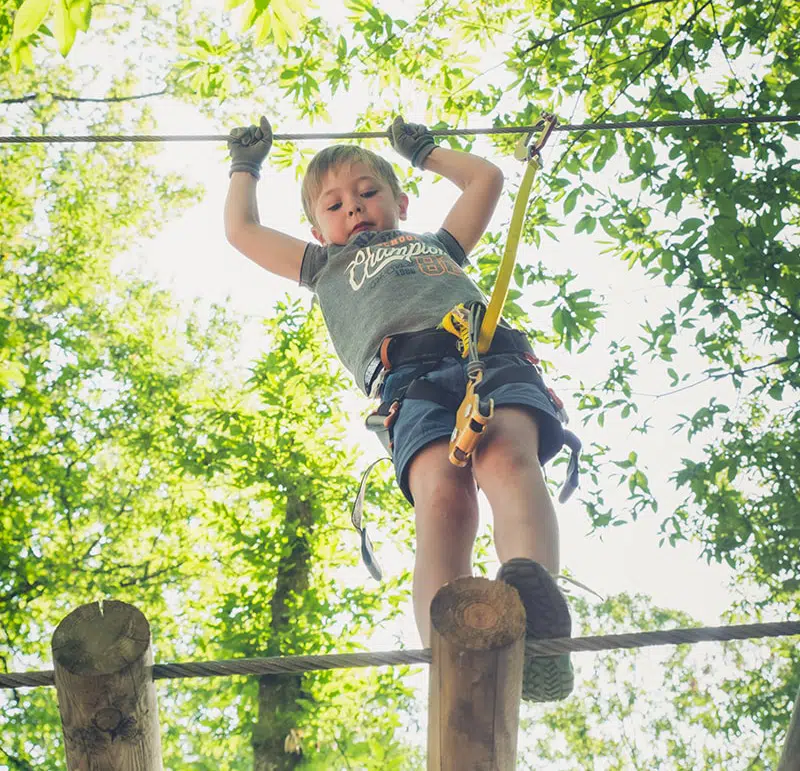 accrobranche flower les lacs