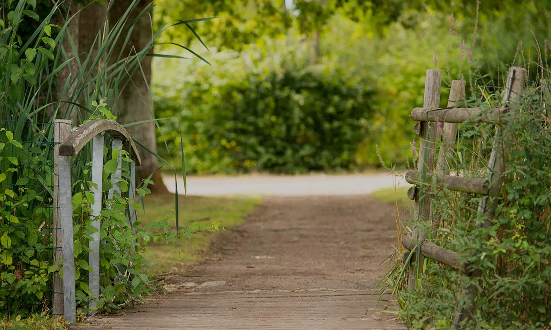 chemins flower les lacs